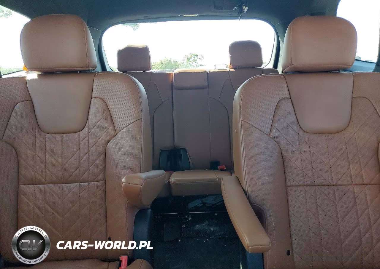 2024 Kia Telluride Sx-Prestige X-Line VIN:5XYP5DGC6RG425933 - 10