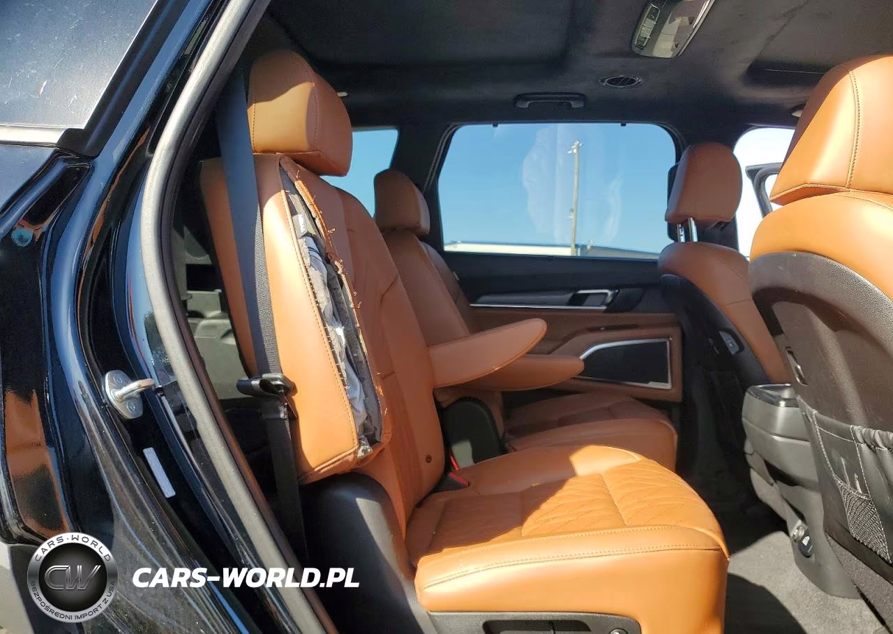 2024 Kia Telluride Sx-Prestige X-Line VIN:5XYP5DGC6RG425933 - 11