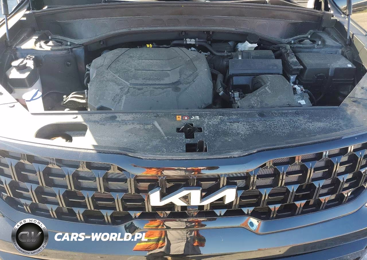 2024 Kia Telluride Sx-Prestige X-Line VIN:5XYP5DGC6RG425933 - 12