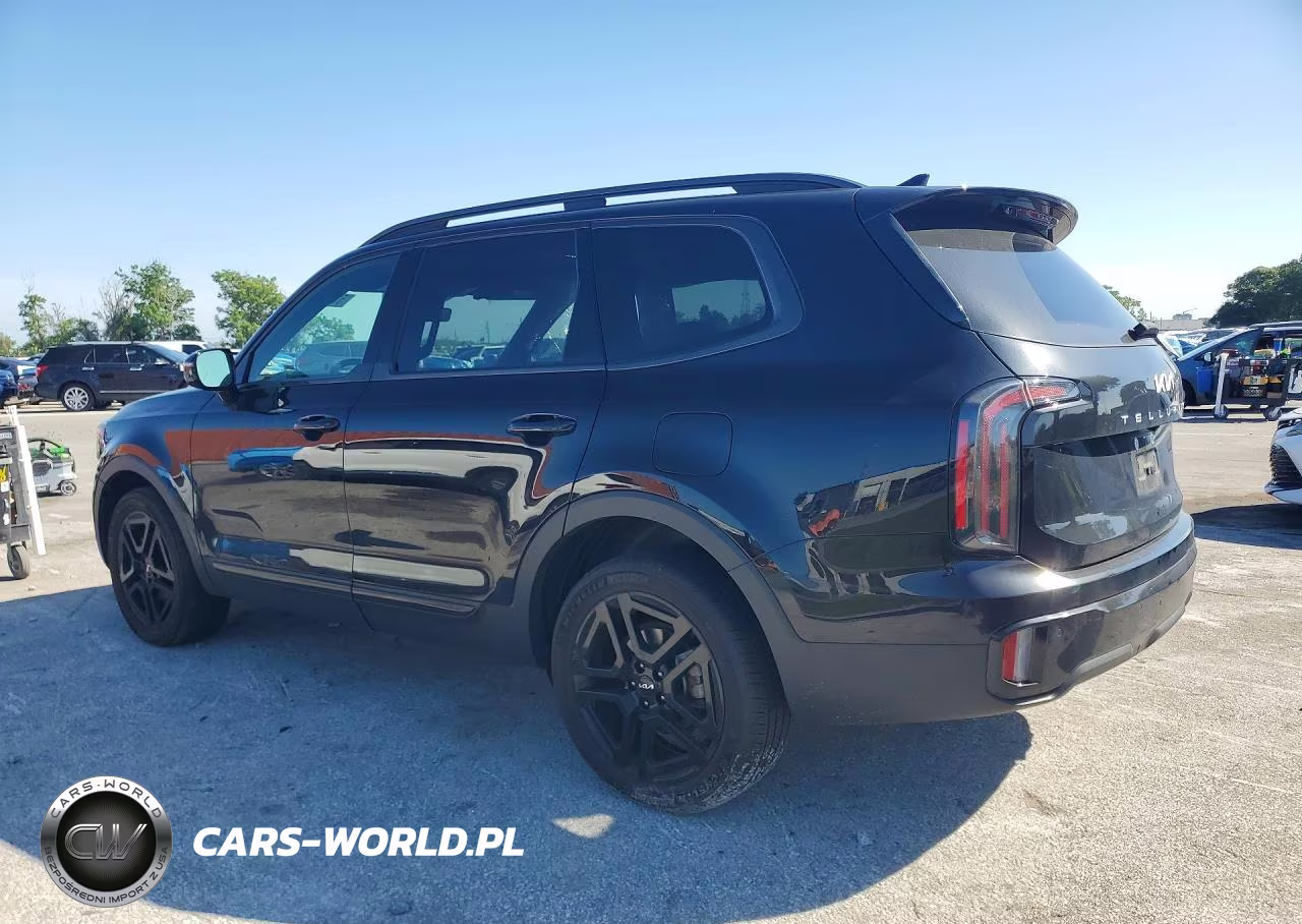 2024 Kia Telluride Sx-Prestige X-Line VIN:5XYP5DGC6RG425933 - 2