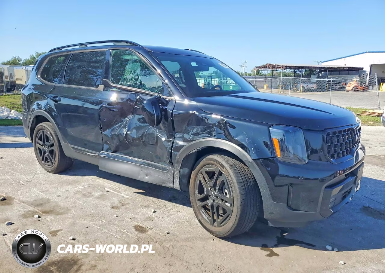 2024 Kia Telluride Sx-Prestige X-Line VIN:5XYP5DGC6RG425933 - 4
