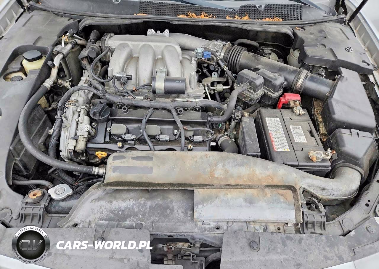 2008 Nissan Maxima 3.5 Se VIN:1N4BA41E28C828543 - 11
