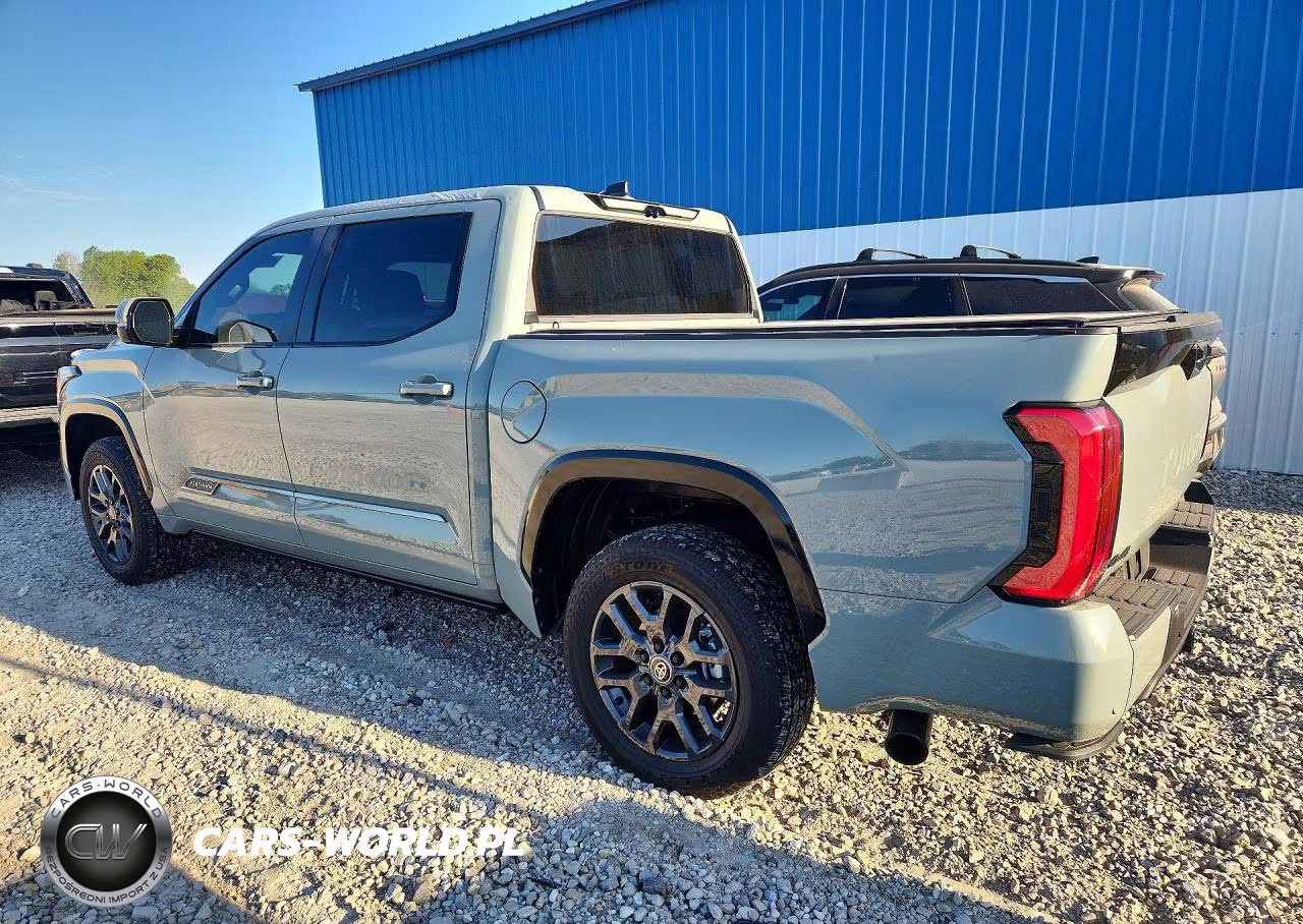 2025 Toyota Tundra Platinum Hv VIN:5TFNC5DB8SX114134 - 2