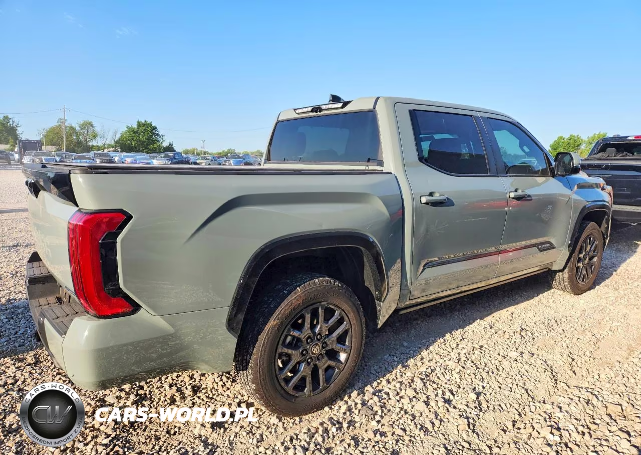2025 Toyota Tundra Platinum Hv VIN:5TFNC5DB8SX114134 - 3