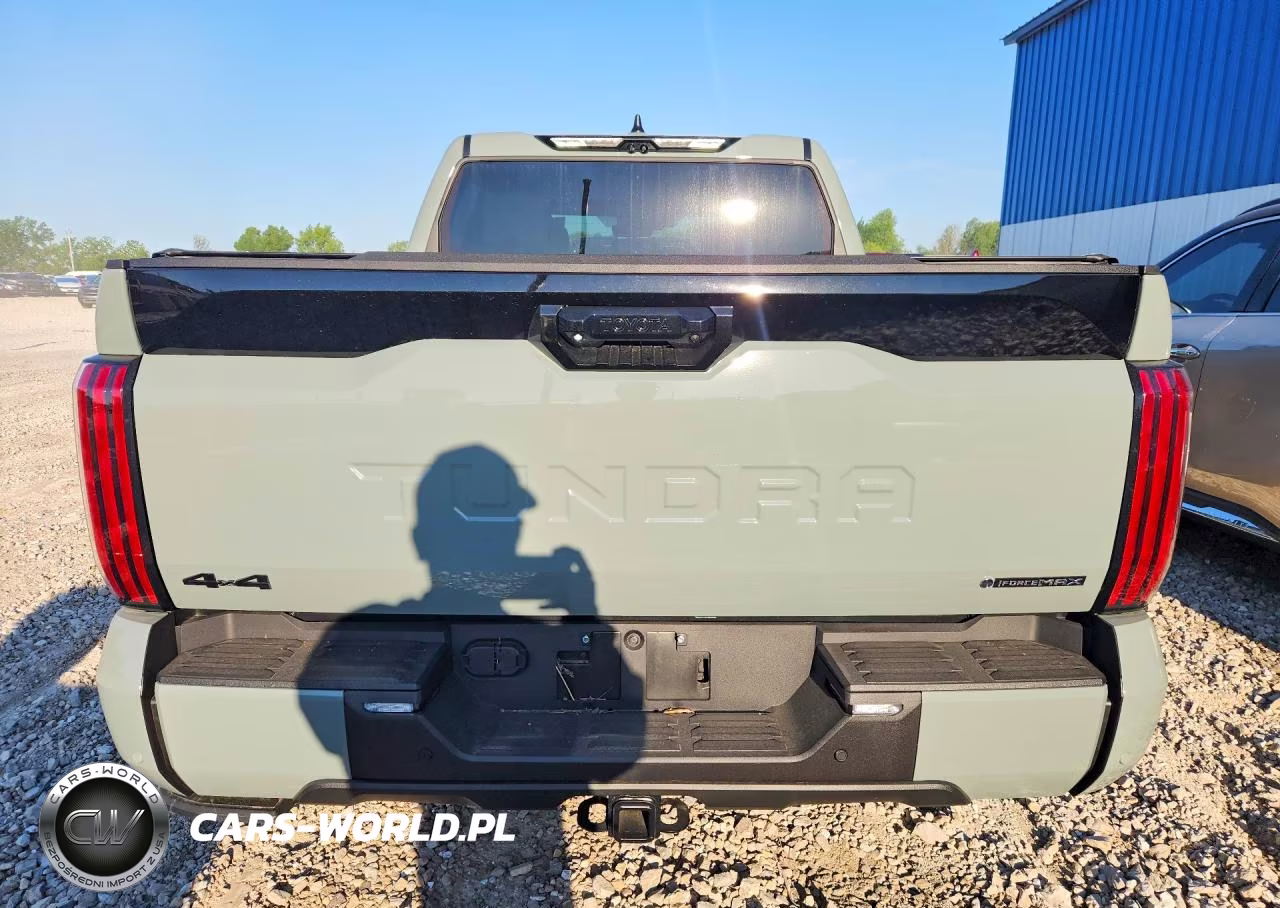 2025 Toyota Tundra Platinum Hv VIN:5TFNC5DB8SX114134 - 6