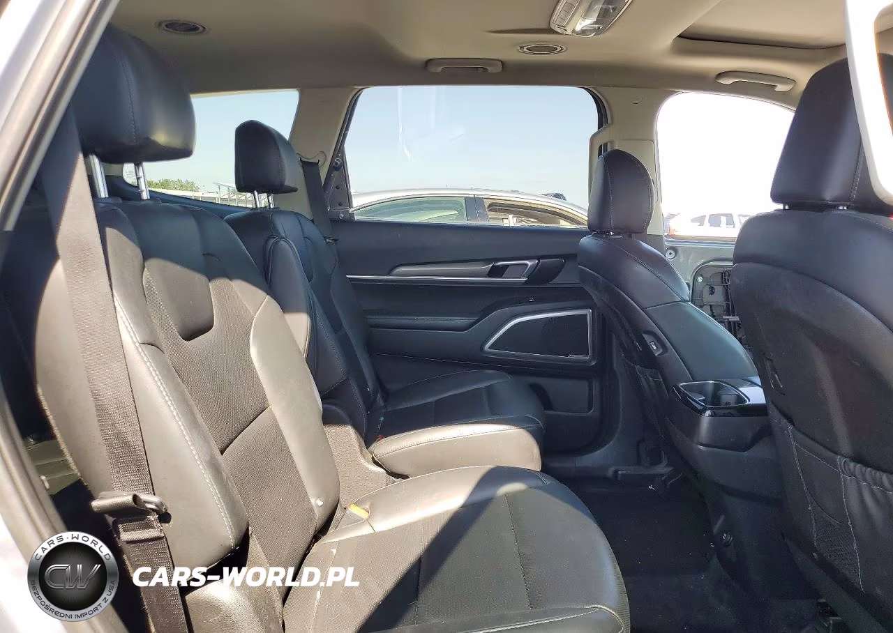 2020 Kia Telluride S VIN:5XYP6DHC4LG089332 - 11