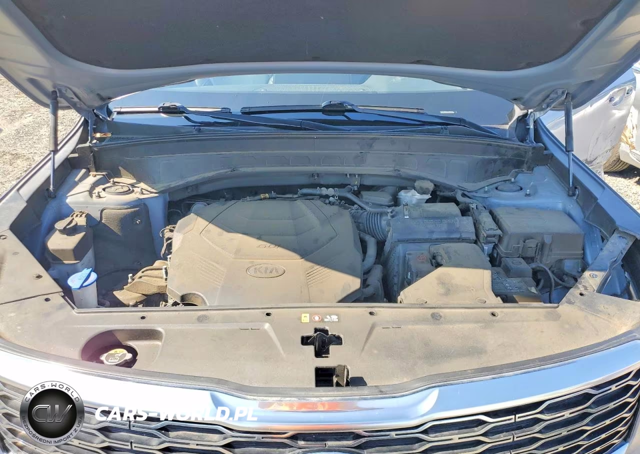 2020 Kia Telluride S VIN:5XYP6DHC4LG089332 - 12