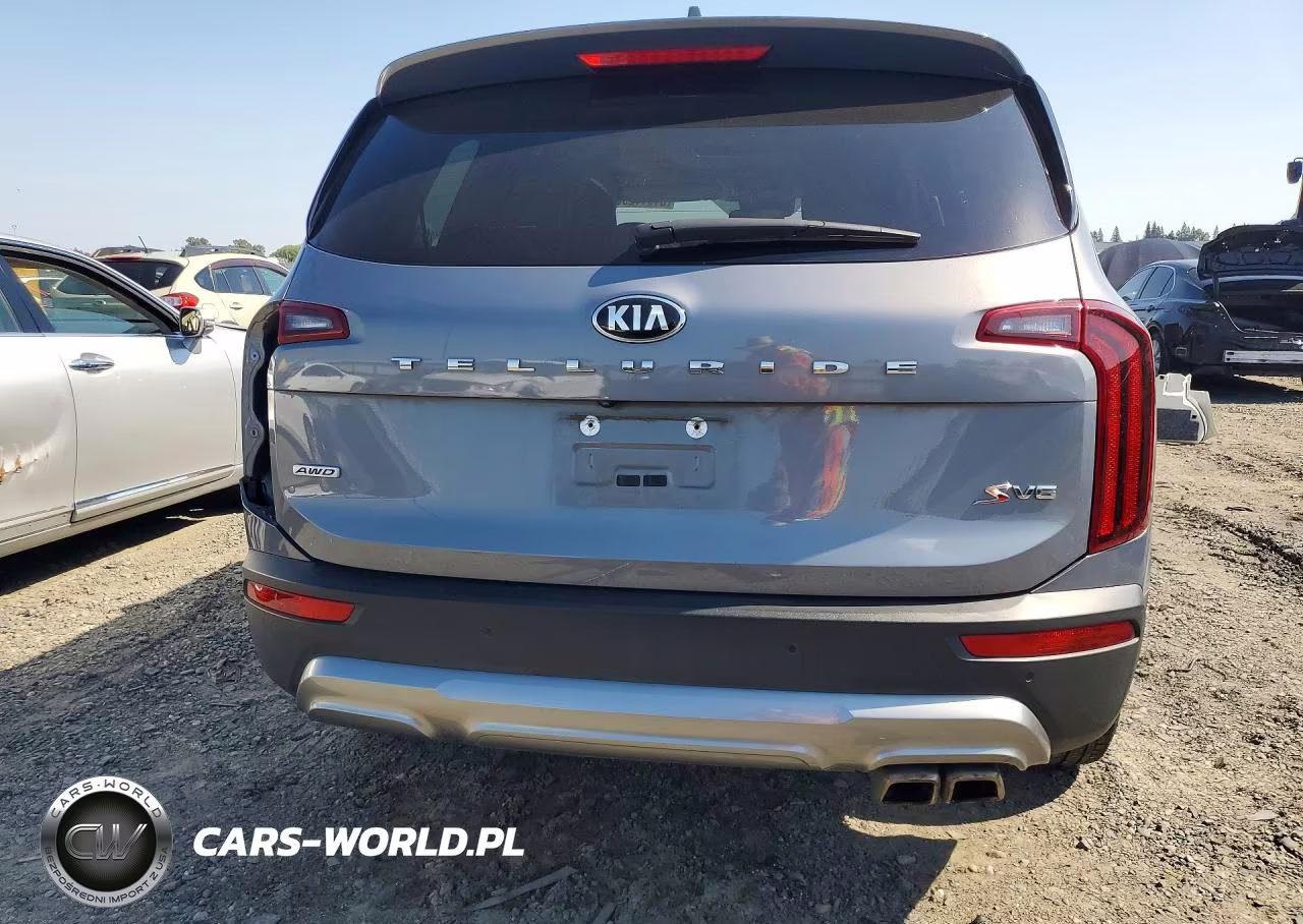 2020 Kia Telluride S VIN:5XYP6DHC4LG089332 - 6