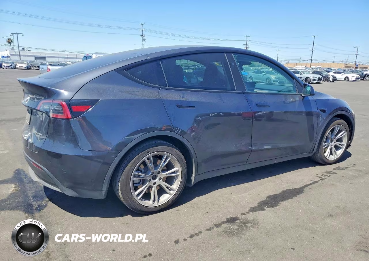 2024 Tesla Model Y VIN:7SAYGAEE8RF027960 - 3