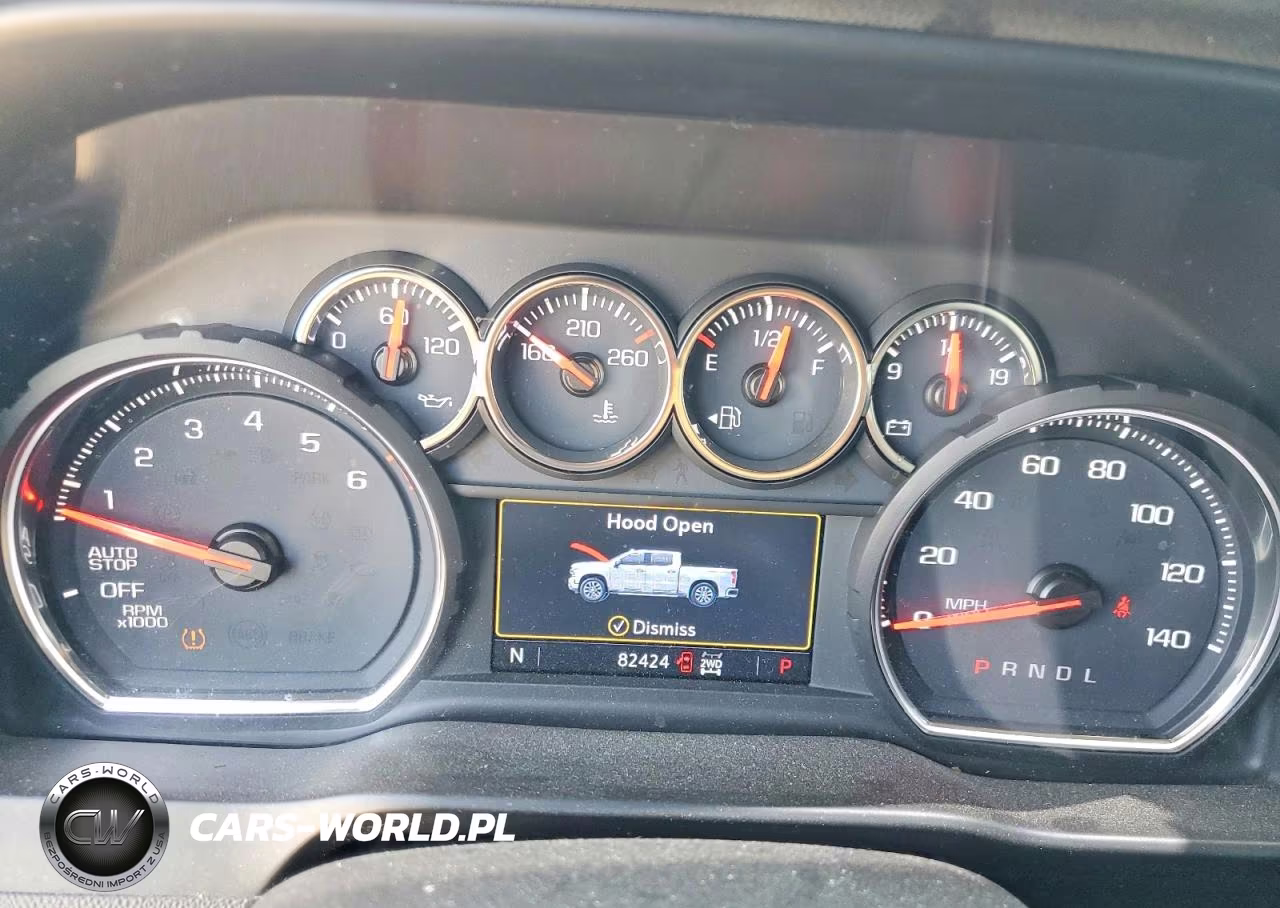 2019 Chevrolet Silverado K1500 Lt Trail Boss VIN:3GCPYFEDXKG161945 - 9