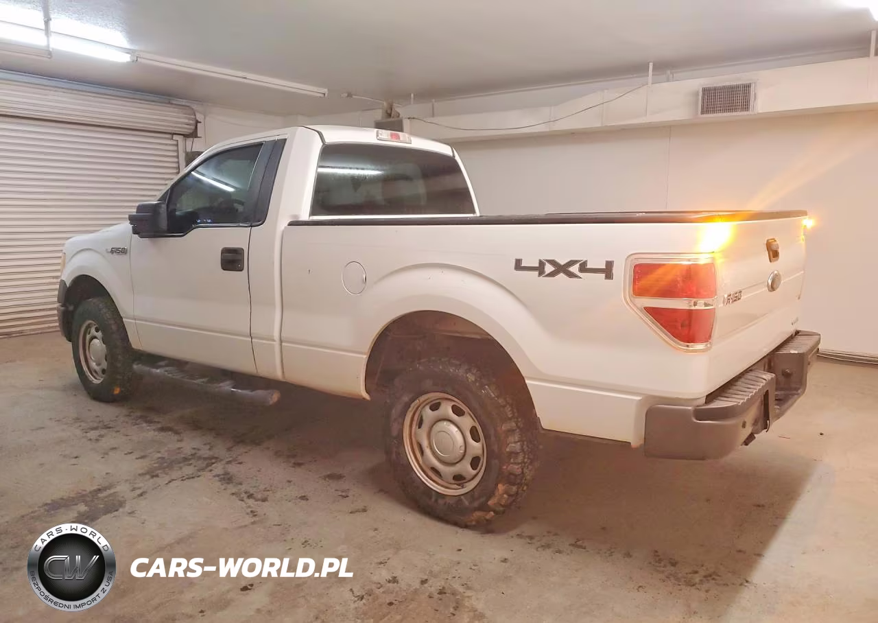 2013 Ford F150 VIN:1FTMF1EF2DKE67532 - 2