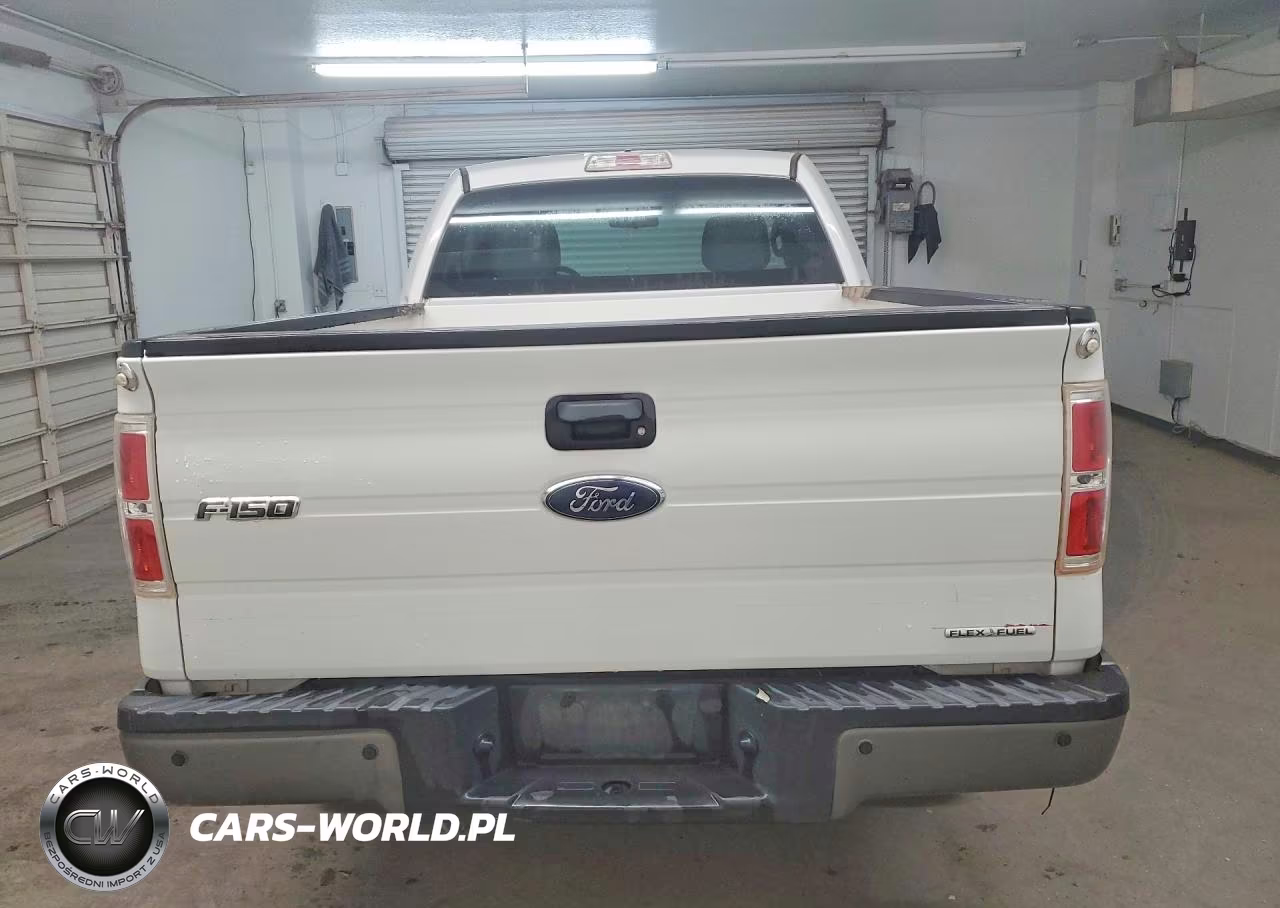 2013 Ford F150 VIN:1FTMF1EF2DKE67532 - 6