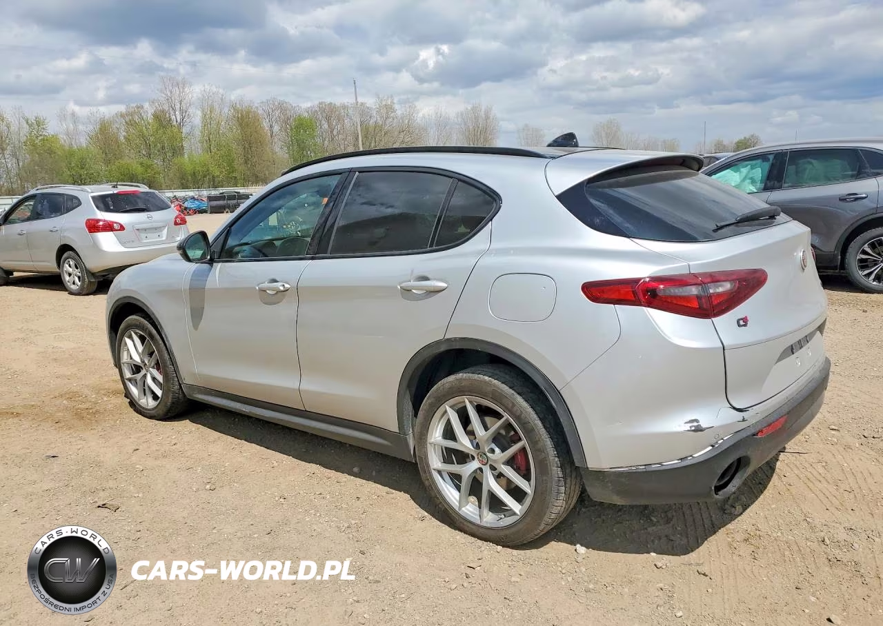 2019 Alfa Romeo Stelvio VIN:ZASPAKAN2K7C32151 - 2