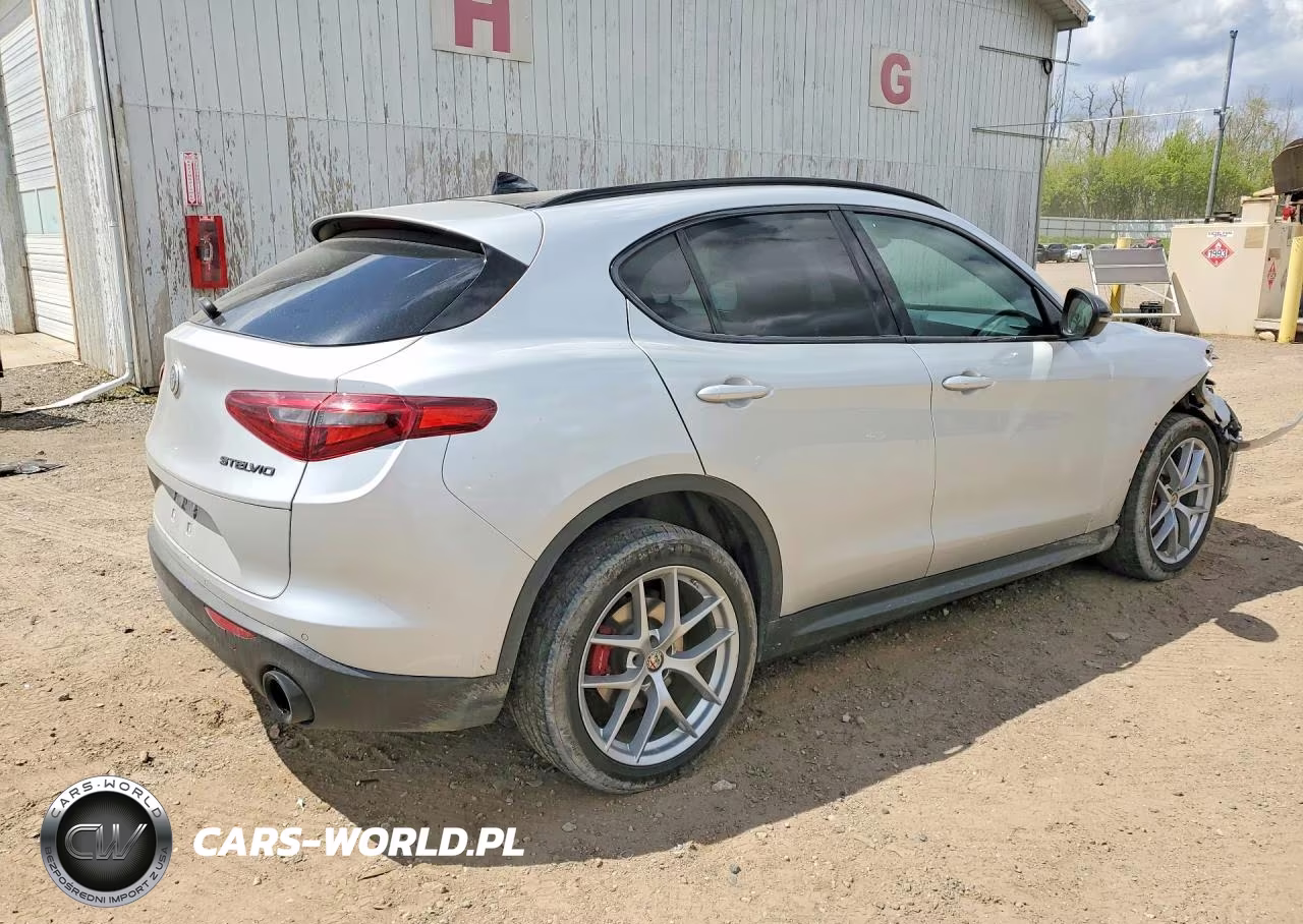 2019 Alfa Romeo Stelvio VIN:ZASPAKAN2K7C32151 - 3