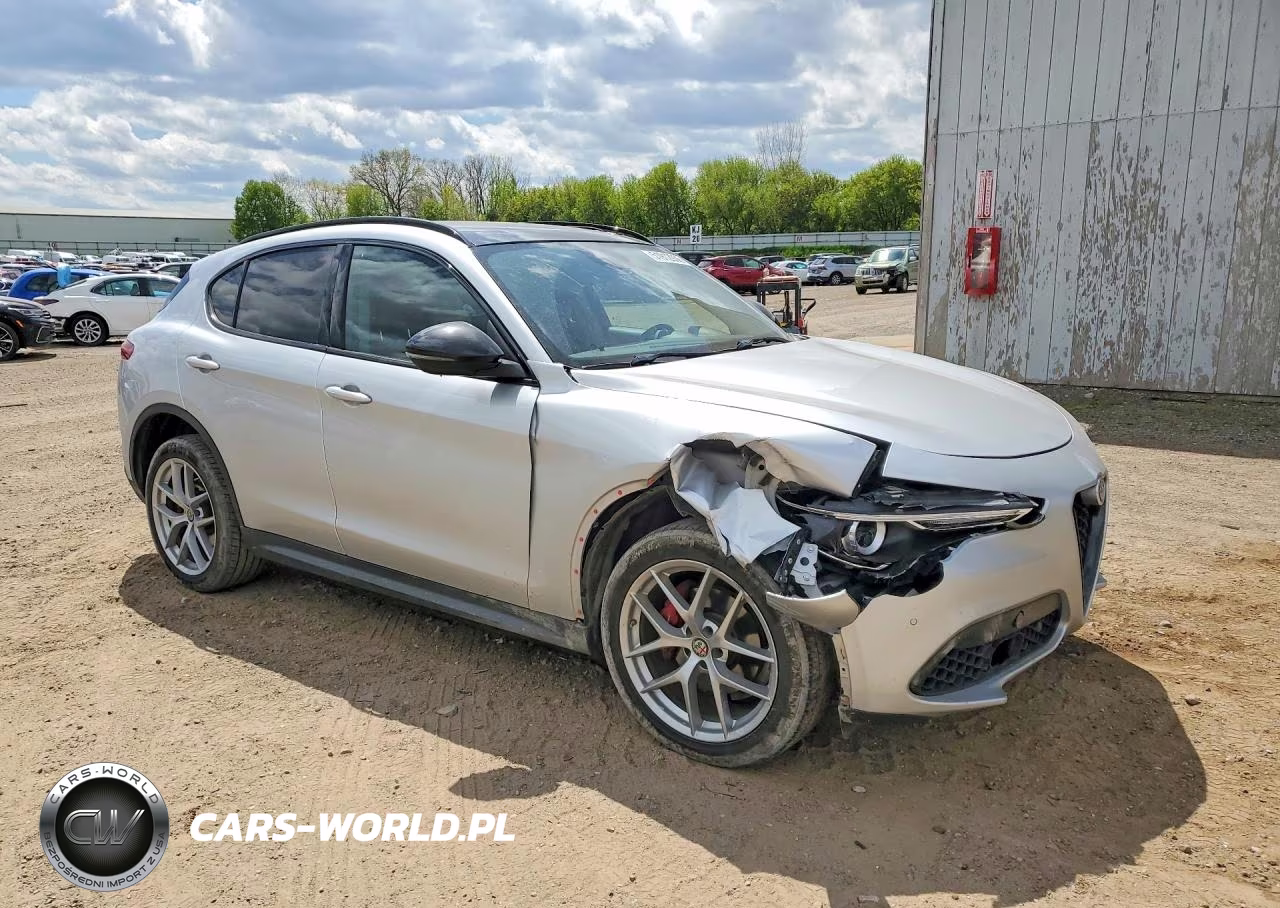 2019 Alfa Romeo Stelvio VIN:ZASPAKAN2K7C32151 - 4