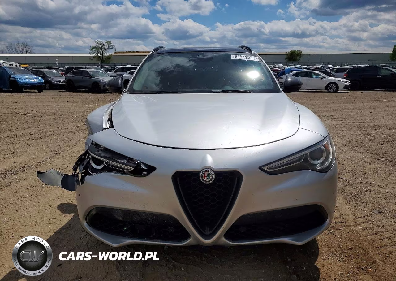 2019 Alfa Romeo Stelvio VIN:ZASPAKAN2K7C32151 - 5