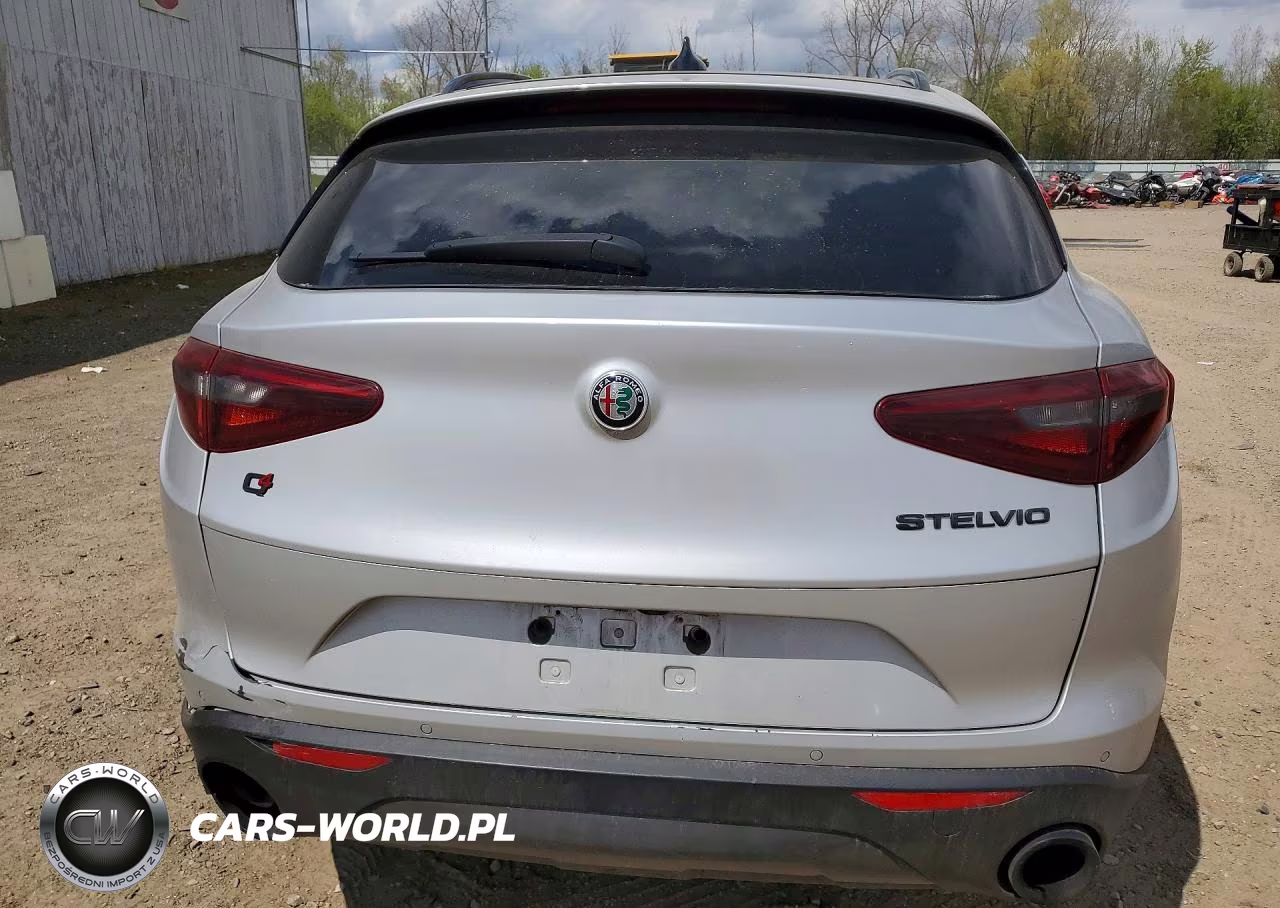 2019 Alfa Romeo Stelvio VIN:ZASPAKAN2K7C32151 - 6
