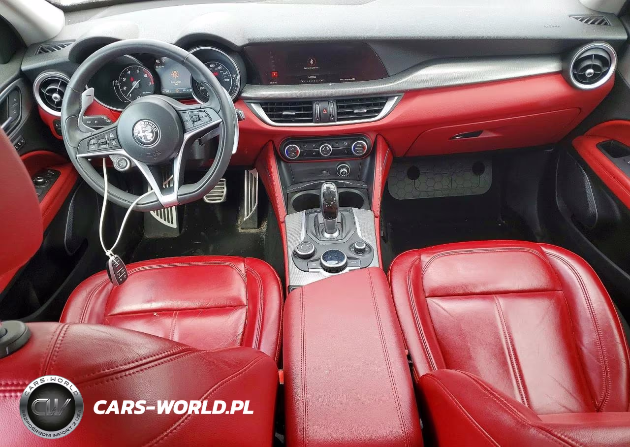 2019 Alfa Romeo Stelvio VIN:ZASPAKAN2K7C32151 - 8