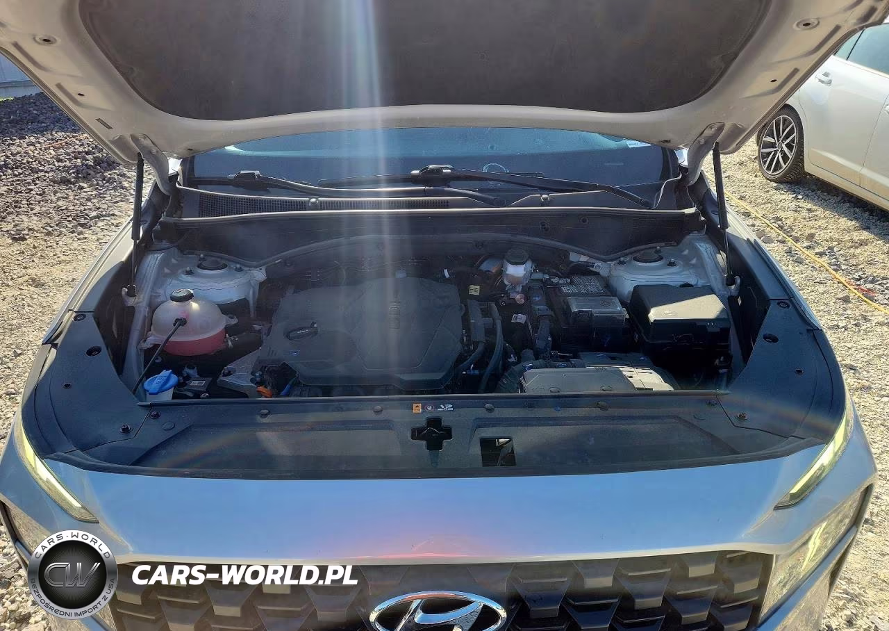 2023 Hyundai Santa Fe Sel VIN:5NMS2DAJ1PH563652 - 12