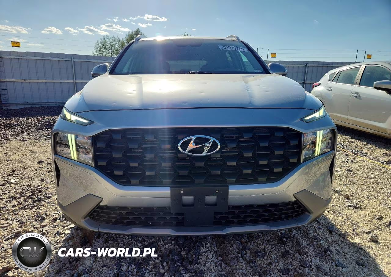 2023 Hyundai Santa Fe Sel VIN:5NMS2DAJ1PH563652 - 5