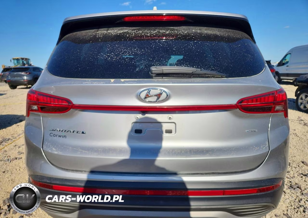 2023 Hyundai Santa Fe Sel VIN:5NMS2DAJ1PH563652 - 6
