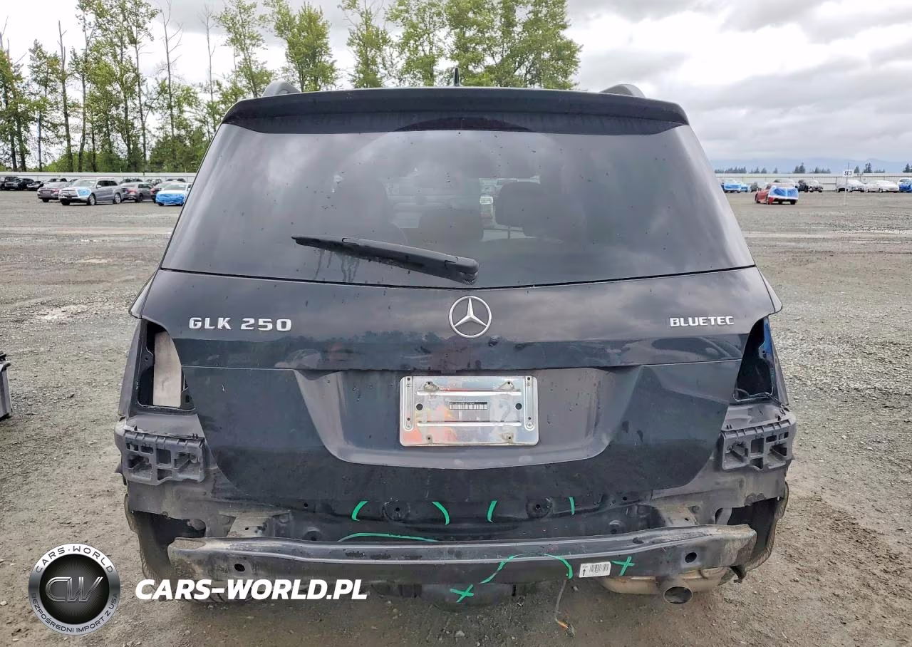 2014 Mercedes-Benz Glk 250 Bluetec VIN:WDCGG0EB5EG274047 - 6