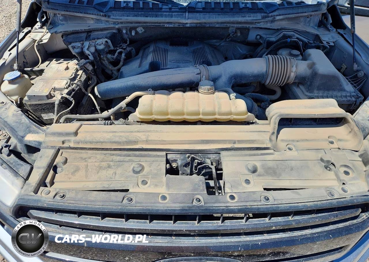 2020 Ford F150 Supercrew VIN:1FTEW1E49LKD31805 - 11