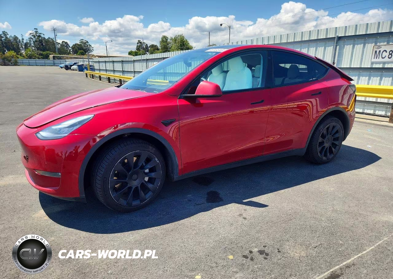 2020 Tesla Model Y
