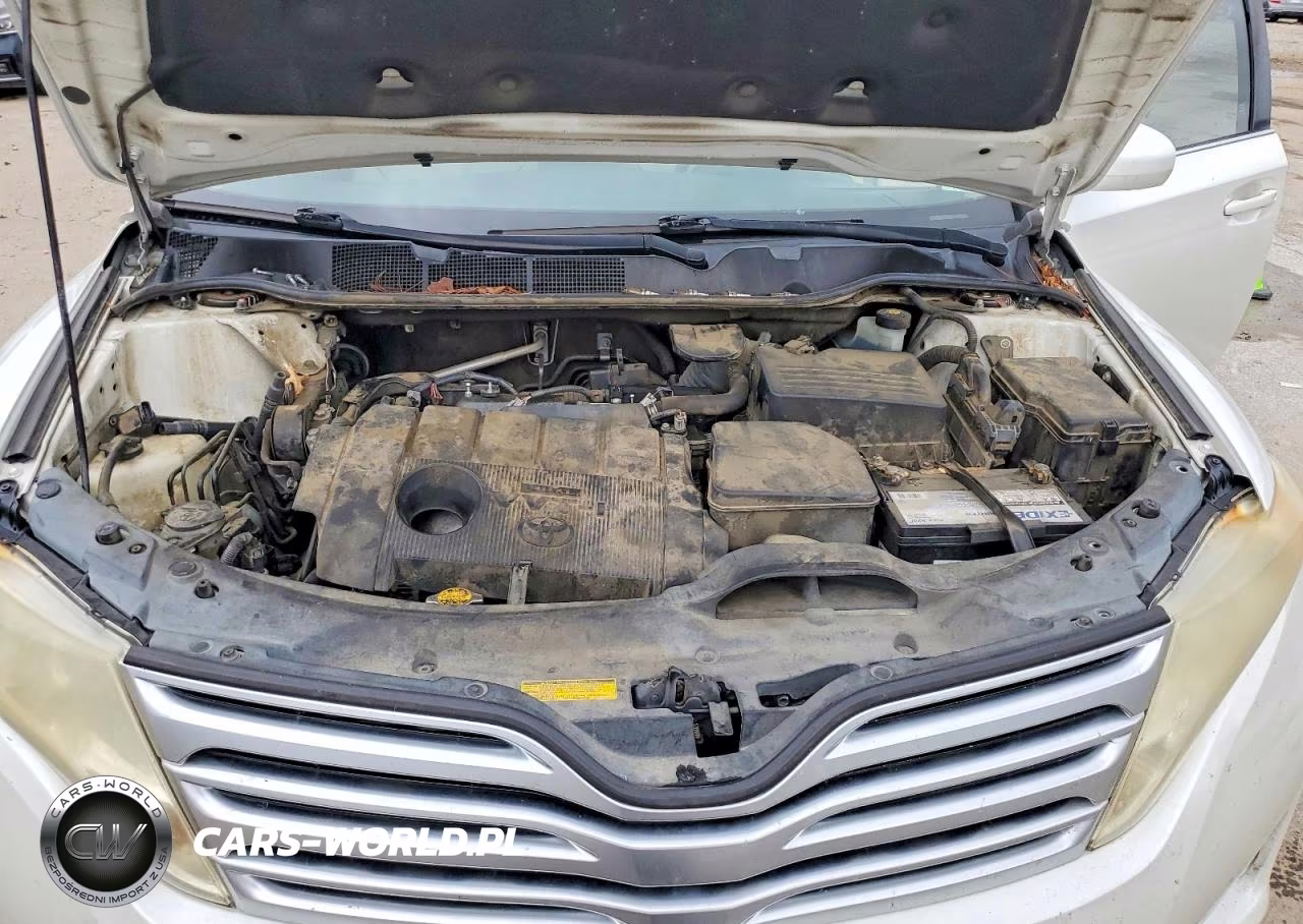 2010 Toyota Venza Fwd 4Cyl VIN:4T3ZA3BB5AU034632 - 12