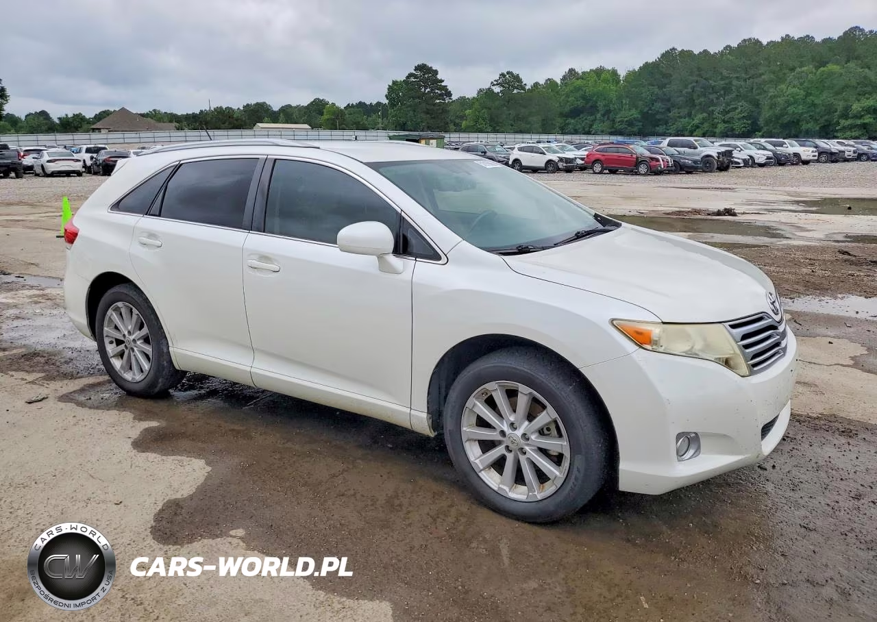 2010 Toyota Venza Fwd 4Cyl VIN:4T3ZA3BB5AU034632 - 4