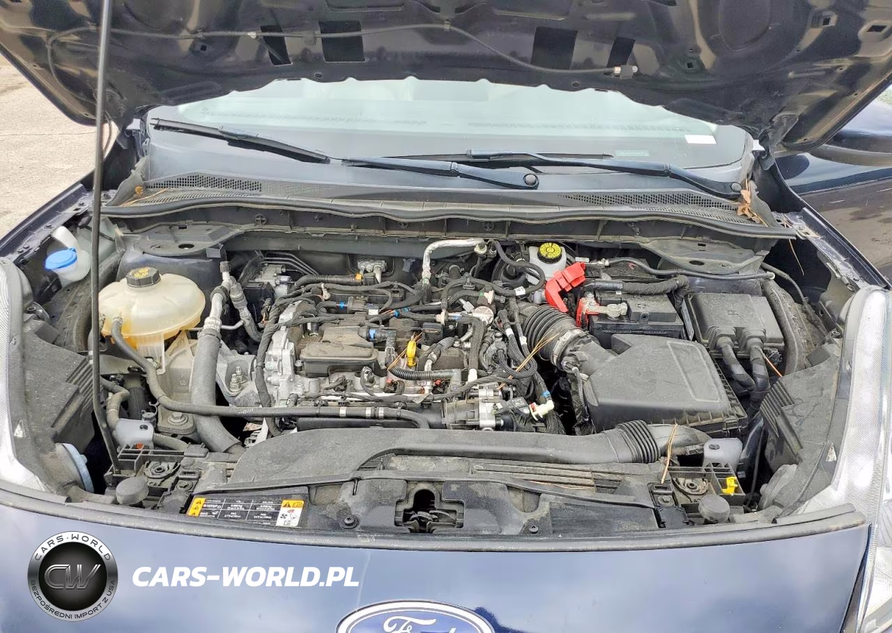 2021 Ford Escape Sel VIN:1FMCU9H61MUA65593 - 12