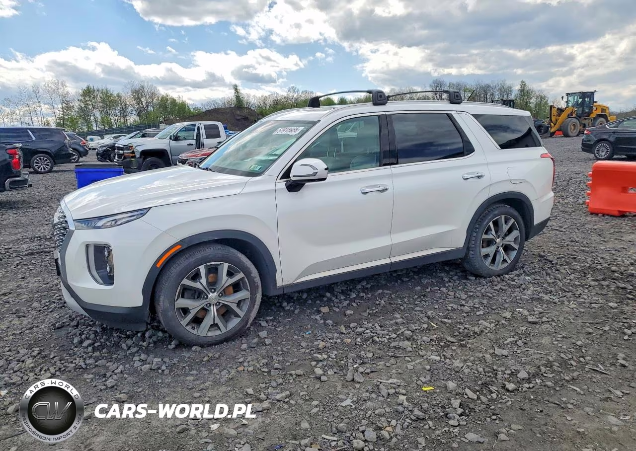 2020 Hyundai Palisade Sel