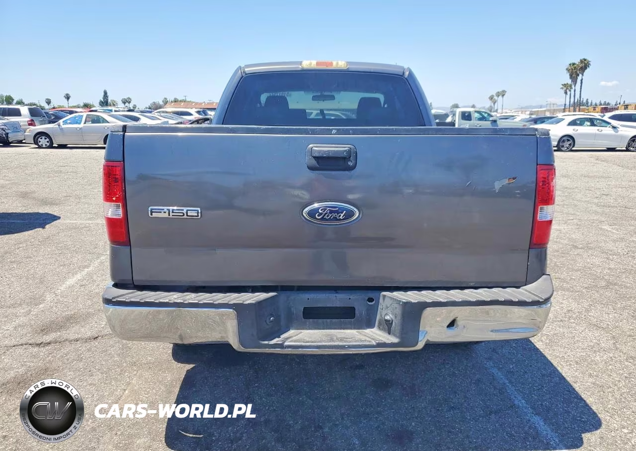 2006 Ford F150 VIN:1FTRX12W96NB45544 - 6