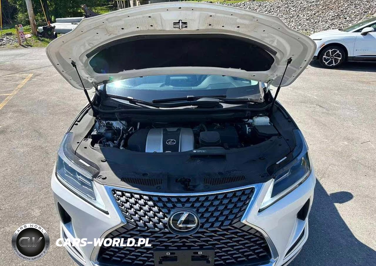 2022 Lexus Rx 350 Base VIN:2T2AZMAA5NC240209 - 7