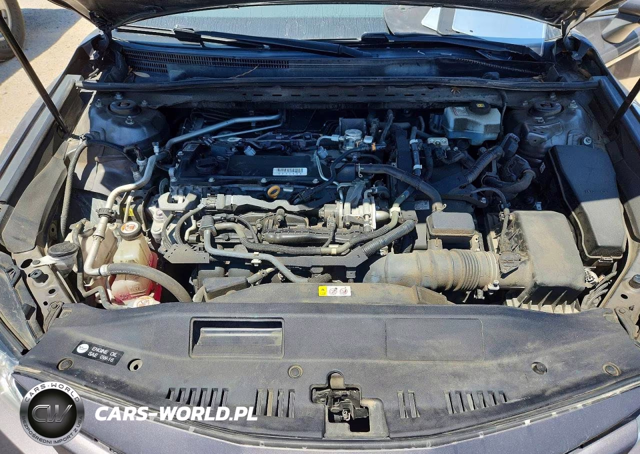 2019 Toyota Camry Le VIN:4T1B31HK7KU517198 - 11