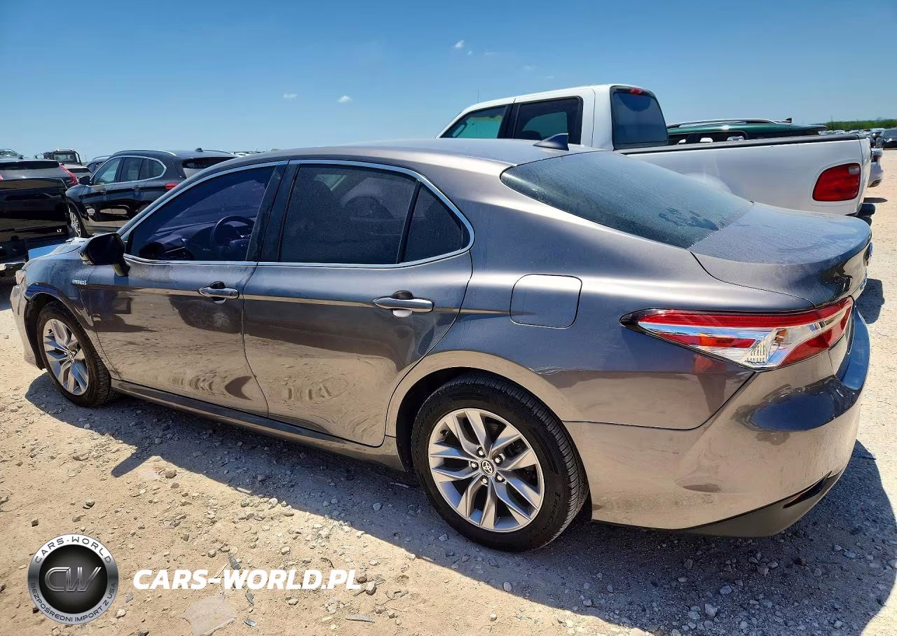 2019 Toyota Camry Le VIN:4T1B31HK7KU517198 - 2