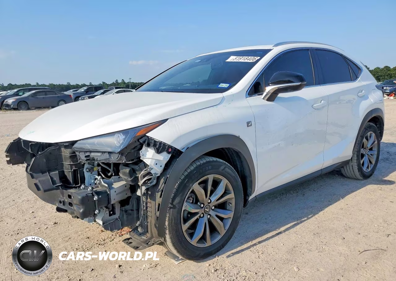2019 Lexus Nx 300 F Sport