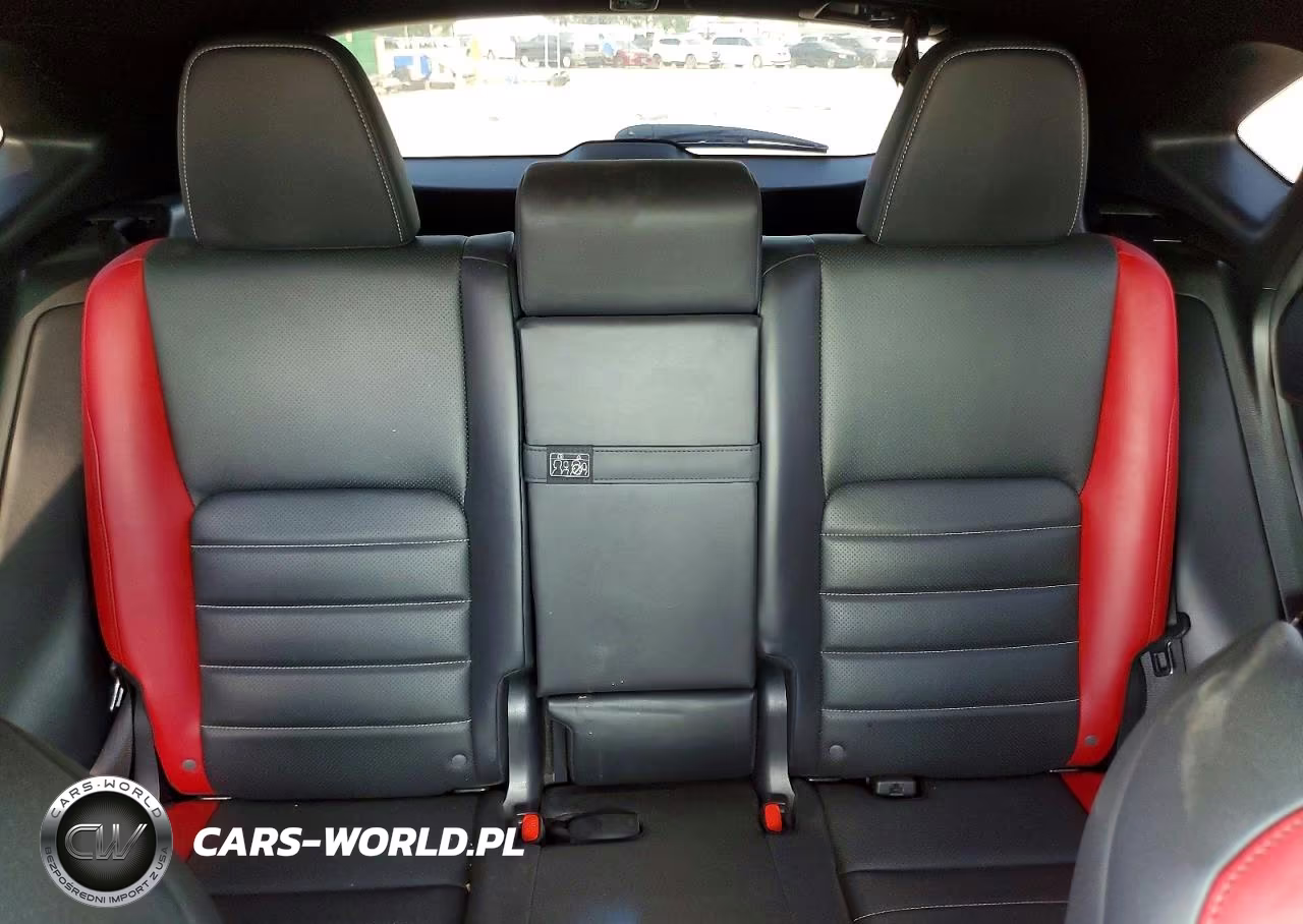 2019 Lexus Nx 300 F Sport VIN:JTJYARBZ9K2130265 - 10