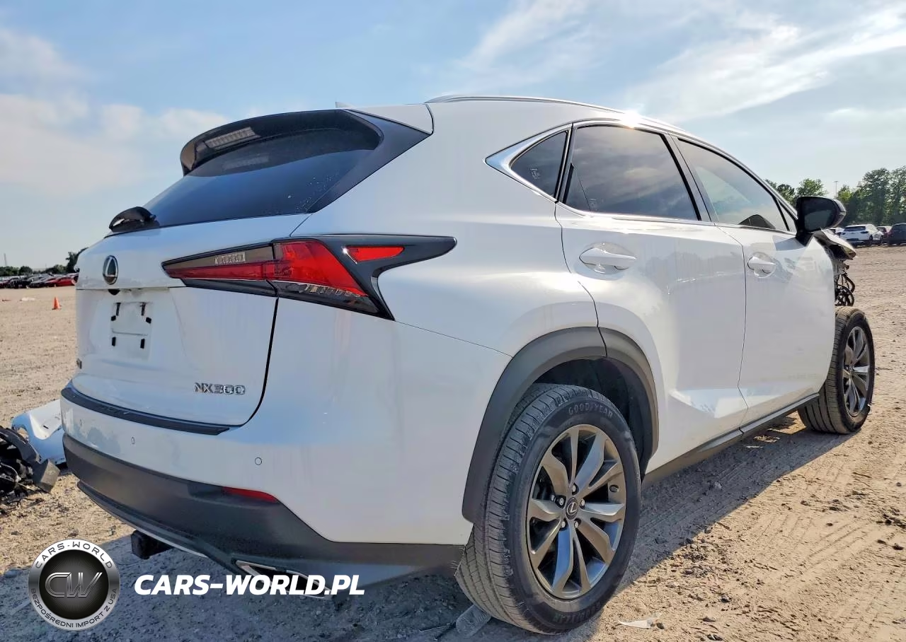 2019 Lexus Nx 300 F Sport VIN:JTJYARBZ9K2130265 - 3