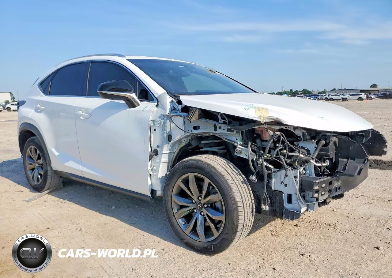 2019 Lexus Nx 300 F Sport VIN:JTJYARBZ9K2130265 - 4