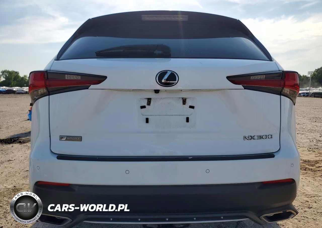 2019 Lexus Nx 300 F Sport VIN:JTJYARBZ9K2130265 - 6
