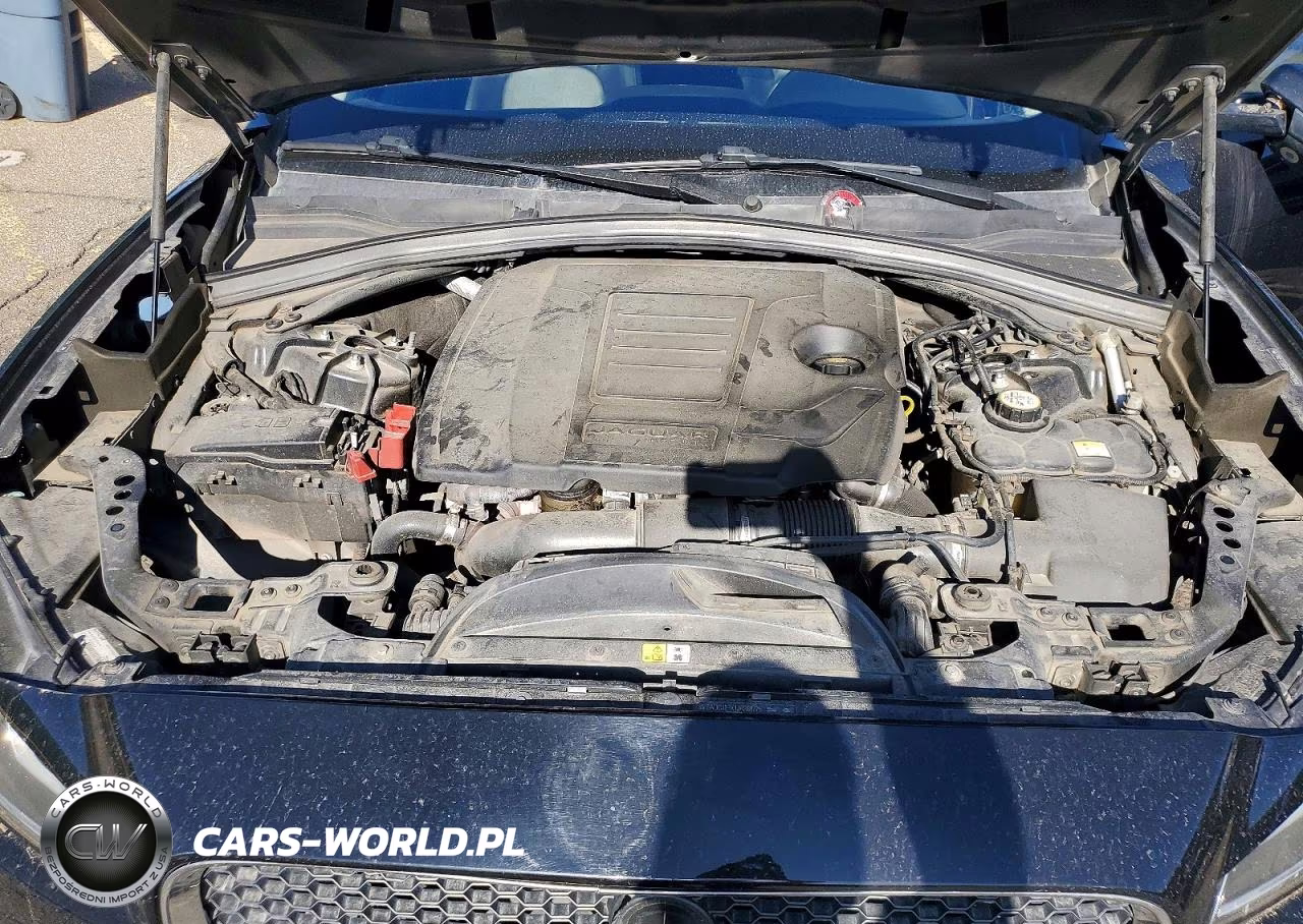2018 Jaguar F-Pace Premium VIN:SADCJ2FX1JA268775 - 12