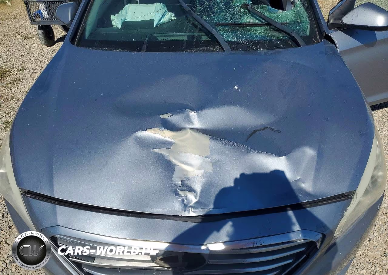 2015 Hyundai Sonata Se VIN:5NPE24AF2FH011927 - 11