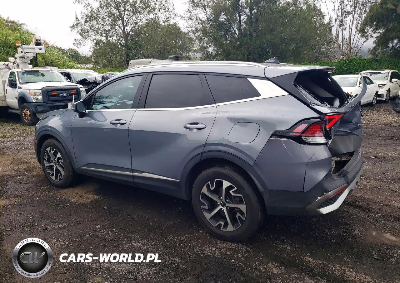 2023 Kia Sportage Ex VIN:5XYK3CAF3PG009509 - 2