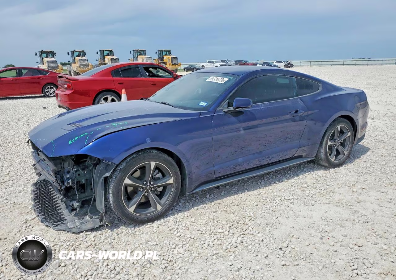 2019 Ford Mustang