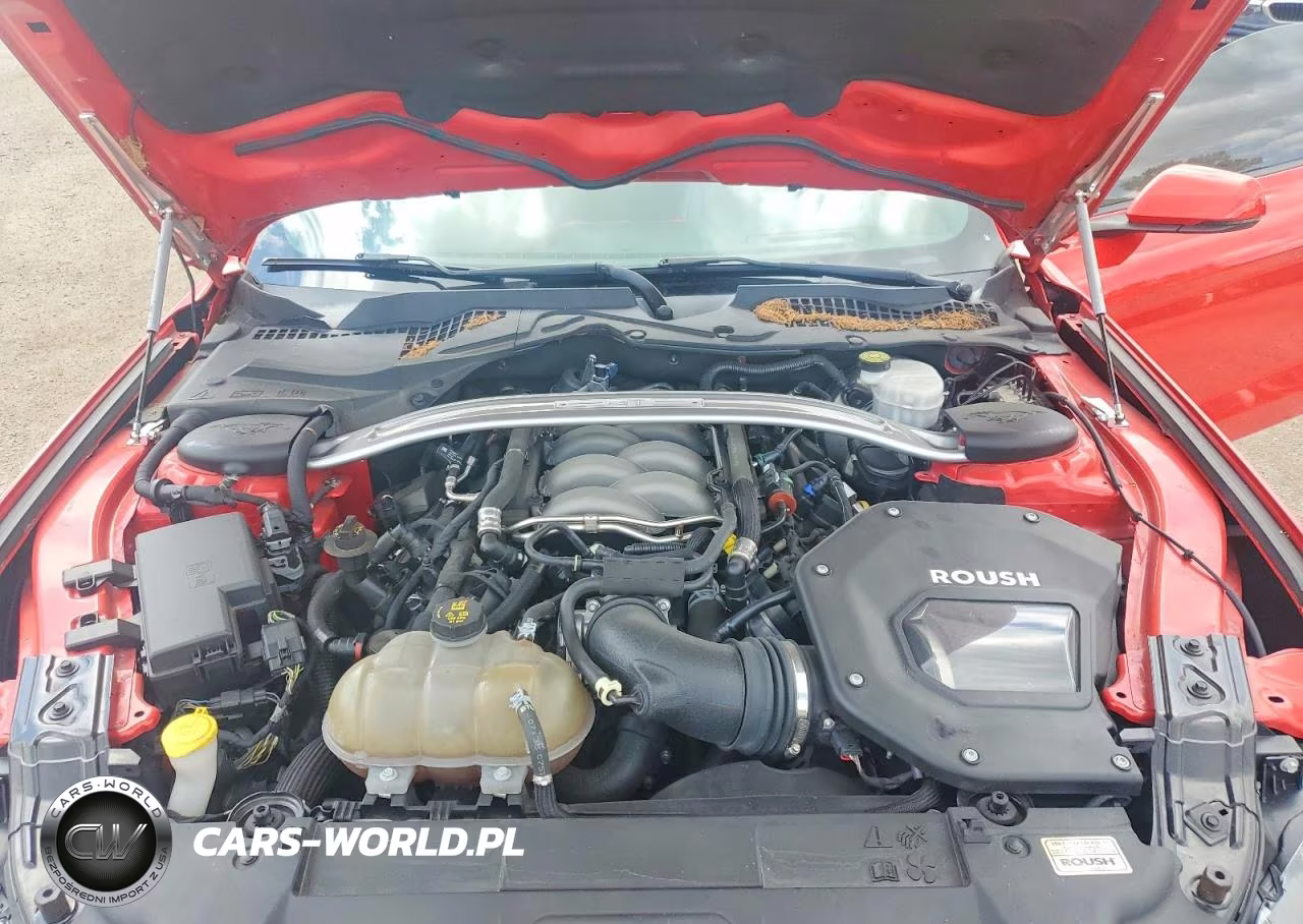 2019 Ford Mustang Gt VIN:1FA6P8CF9K5180529 - 11