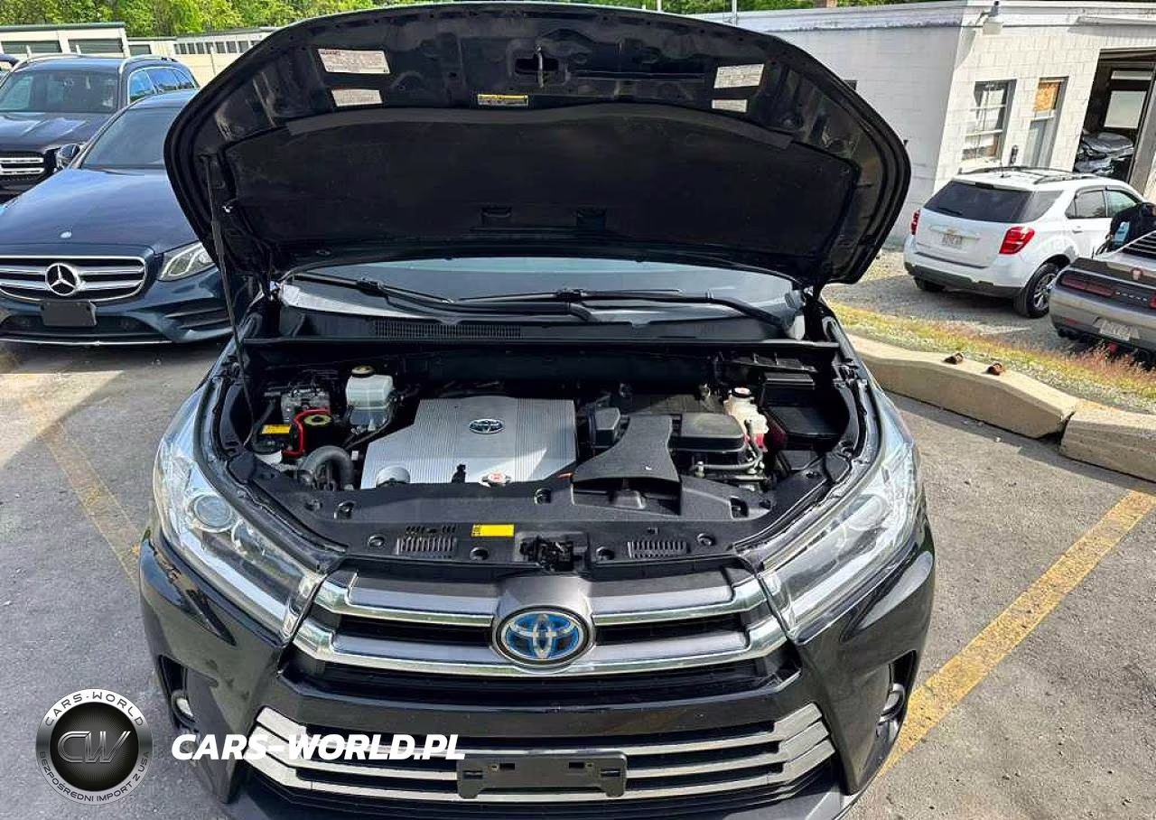 2019 Toyota Highlander Hybrid Limited VIN:5TDDGRFH9KS054671 - 6