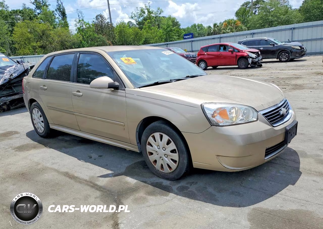 2006 Chevrolet Malibu Maxx Lt VIN:1G1ZT61876F102254 - 4