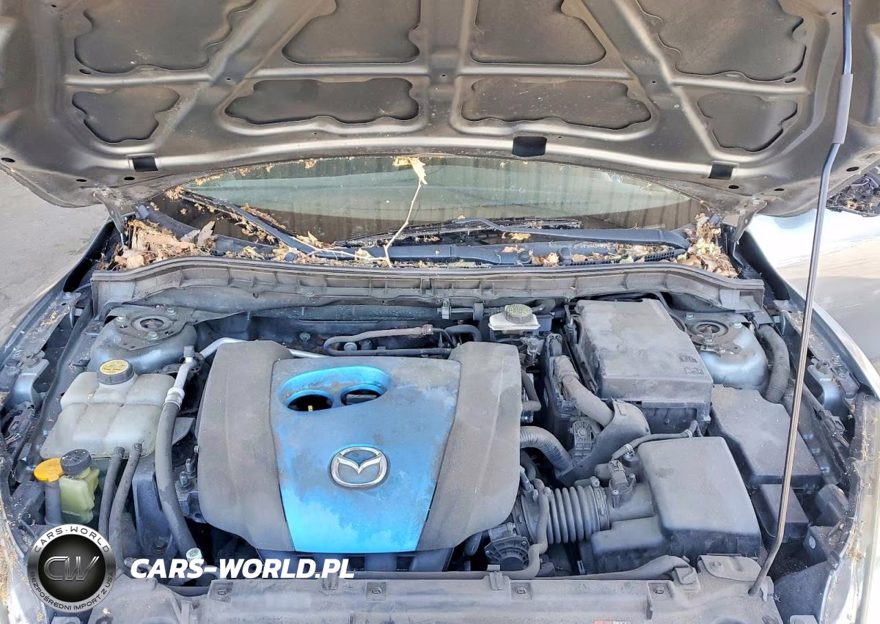 2013 Mazda 3 I VIN:JM1BL1LP5D1794251 - 11