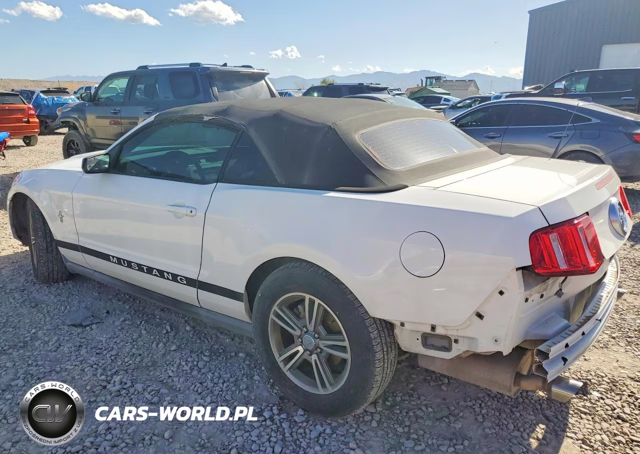 2011 Ford Mustang VIN:1ZVBP8EM8B5109274 - 2